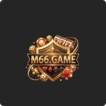 M66 Game