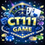 CT111 Game