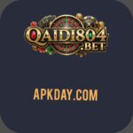 qaidi804 game