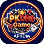 PK080 Game