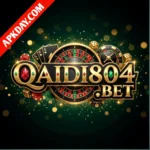 Qaidi804 bet