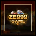 ZE999 Game